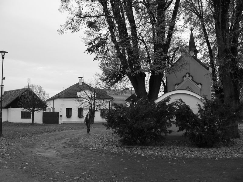 celakovice2009_07.jpg