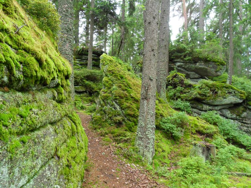 sumava_npec_so03.jpg