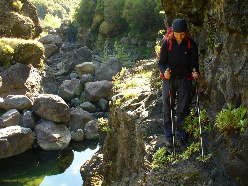 madeira-011.jpg